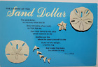 The Legend of The Sand Dollar Religious Poem Postcard 6X4 Unposted