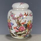 Vintage Chinese Pastel Porcelain Phoenix Tea Caddy Jar