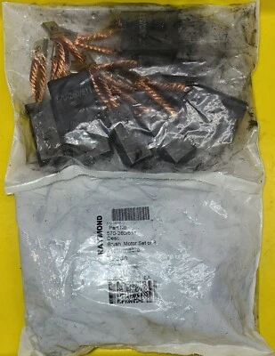 Juego de cepillo, motor OEM Raymond 570-260/511 (cantidad 1 = 8 cepillos) Foto 1 de 2