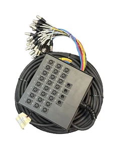 Livewire Advantage 24x4 Snake with XLR Returns 100 ft. Black - Picture 1 of 4