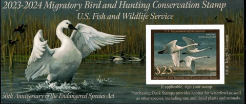 #RW90A  2023 -2024 Federal Duck Stamp  - MNH Cover