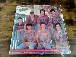 GRUPO CELOSO LP/DILE QUE VUELVA/DISA 1991 SABINA REC./NEAR MINT CONDITION/CUMBIA - Foto 1 di 4