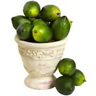 Faux Fruit Limes Real Touch (Set of 12) Home Garden Office Decor. Retail $58