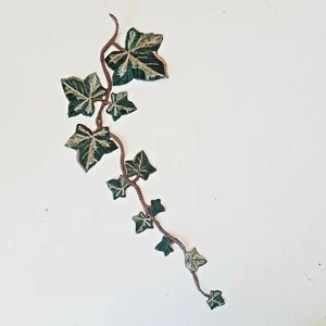 English Ivy Realistic Wildlife Plant Embroidered Patch - Picture 1 of 3