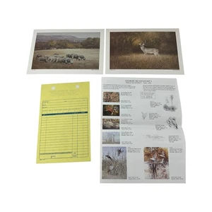 Charles Beckendorf Texas Quarterly 1985 Art Large Postcard Prints Sheep Deer - Picture 1 of 6