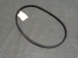 CINGHIA TRASMISSIONE INGRANAGGIATA MOTOZAPPA 12X876 CINGHIA DENTATA ANTERIORE - Foto 1 di 1