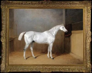 Old Master-Art Antique Oil Painting animal white horse on canvas 30"x40" - Picture 1 of 2
