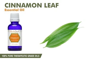 Cinnamon Leaf Essential Oil 100% Pure and Natural Arometherapy Oils Therapeutic - Picture 1 of 3