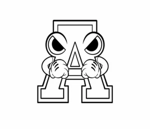 RAW - Picture 1 of 1