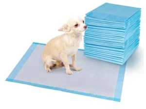 Traverse Traversine Assorbenti per Cani Lettiera Gatti Tappetini Igienici 60X60 - Imagen 1 de 10