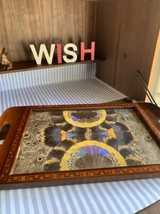 Vintage Butterfly Wing Art Serving Tray From Rio de Janeiro Brazil Circa 1940's - Picture 1 of 14