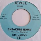 Butch Andrews * Sneaking Home * JEWEL * 60er R & B Soul 45 * EXC *