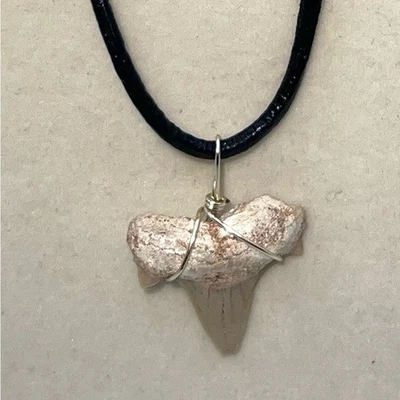 Real Fossilized Shark Tooth Pendant Necklace Leather Cord Jewelry - Image 1 of 3