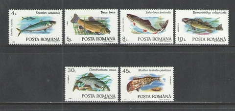 ROMANIA 1992 { FISH } Scott # 3728-3733 COMPLETE SET MNH Cover
