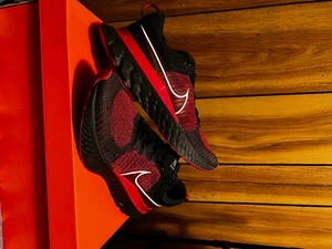 Brand New Nike React Infinity Run Flyknit 2 Bred Black/Gym Red/White Size 13 - Picture 1 of 6