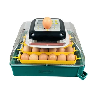 Incubadora compacta pollos codorniz máquina automática estación de cría 017.001 - Imagen 1 de 4