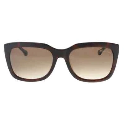 Gafas de sol Roberto Cavalli Albali RC 799S 52F marco plástico tortuga 55-18-140 Foto 1 de 4