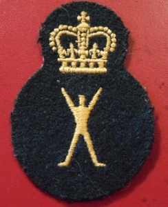Armed Forces PERI PHYSICAL EDUCATION INSTRUCTOR trade qualification badge 3 BLK - Picture 1 of 1