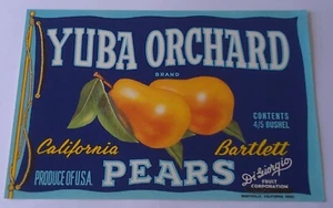 Yuba Orchard Crate Label - Picture 1 of 1