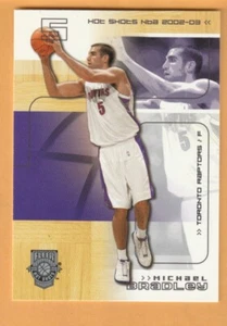 Michael Bradley Toronto Raptors 2002-03 Fleer Hot Shots #99 Kentucky Wildcats - Imagen 1 de 2
