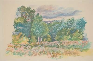Pierre-Auguste RENOIR : Le champs de fleur, Lithographie - Picture 1 of 8