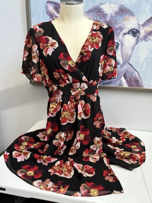 Madewell Women's Size 4 Black Pink Red Floral V-Neck Short Sleeve Lined Dress - Image 1 of 4