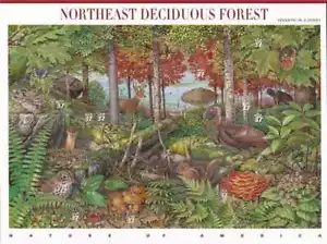 US Stamp 2005 Northeast Deciduous Forest - 10 Stamp Sheet #3899 - Picture 1 of 1