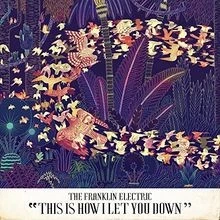 This Is How I Let You Down [Vinyl LP] von Franklin El... | CD | Zustand sehr gut - Bild 1 von 2