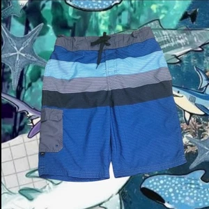 Art Class Boy's Youth Stripe Board Swim Trunks  Size 16 - Picture 1 of 10