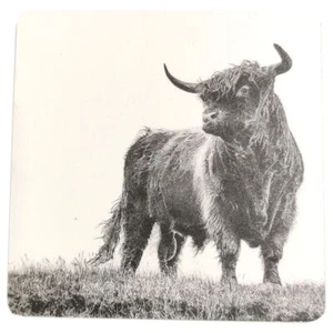 Highland Kuh Untersetzer King of Skye (Piper) von Nick Field Art - Bild 1 von 1