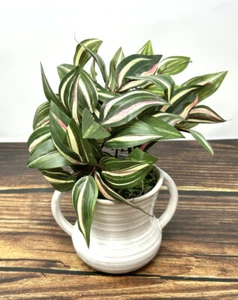 Pequeña planta artificial ROSA JOYA 8" imitación seda PULGADAS en maceta en blanco cerámica de 2 asas - Imagen 1 de 8