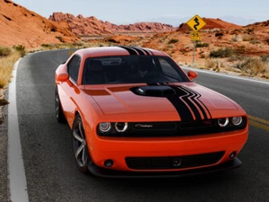 2015-2023 Challenger Shaker Hood Rally Stripes Graphic Kit | Shake Down Style - Picture 1 of 1