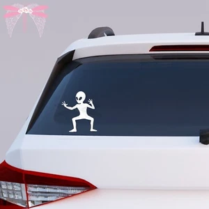 Alien Kung Fu Pose Aufkleber, Auto, Laptop, Handyaufkleber - 10 Größen verfügbar - Bild 1 von 3