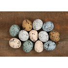 Farmhouse/country Easter Spring speckled colored eggs 1.5" 12 pc set