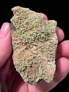 Pyromorphite, Kellogg, Shoshone Co, Idaho - Picture 1 of 6