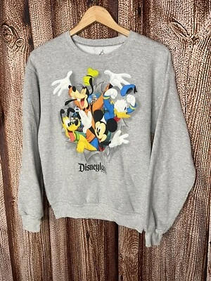 Disneyland Youth Kids Gray Character Pop Out Front Back Size XL - Image 1 of 3