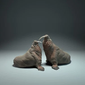 Walrus Fight – 3D Printed Model - Unpainted - Animals Miniatures - Imagen 1 de 3