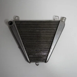 Ducati 899 959 1199 1299 Panigale Radiateur d'eau inférieur - Picture 1 of 6