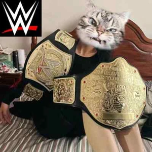 World Heavyweight Big Gold Championship Wrestler Champion wwe Belt Replica Model - Bild 1 von 8