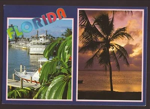 Postal de palmeras y barcos de Florida - Imagen 1 de 1