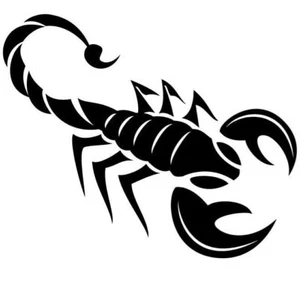 6.5" X 4.5" Scorpion Vinyl Decal Sticker for Car Bumper Truck Home Window Wall - Picture 1 of 2