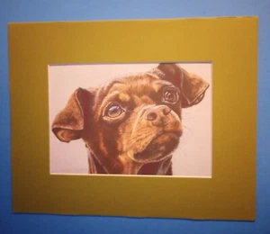 Impresión de retrato de 8" x 10" mate de 5" x 7" de un pequeño perro cachorro Chihuahua marrón - Imagen 1 de 3