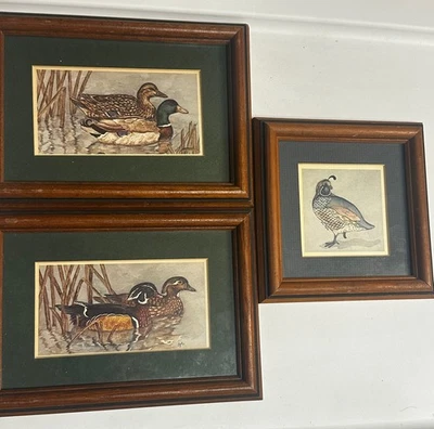 Juego de 3 impresiones de vida silvestre de pato y codorniz enmarcadas - marcos de madera rústica  Foto 1 de 4