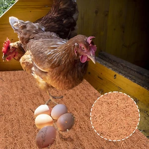 10 Pack Chicken Nesting Pads for Hens Fits Most Nesting Boxes Coop Nest Liners - Picture 1 of 7