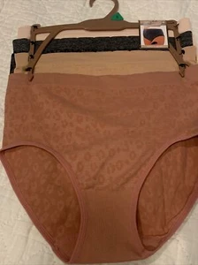 Icy Hot 4 Pack Seamless High Waisted Brief Underwear Panties Women's Small - Picture 1 of 10