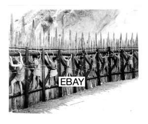 THOR AND THE AMAZON WOMEN 1963 ORIGINAL MOVIE PHOTO EPIC ANCIENT HISTORY - Picture 1 of 1