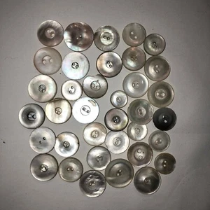 Vintage Shell Botones Conjunto De Similares Pequeños Botones Silbato Blusa MOP - Imagen 1 de 3