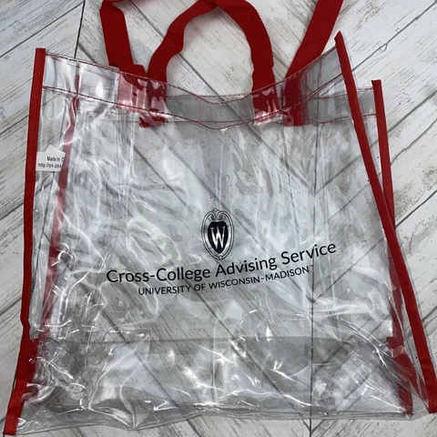 Wisconsin Badgers 11X13 Licensed Stadium Bag Purse Tote College Football Cover