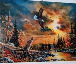 Watchful Eyes von Jim Hänsel, Adler - Bild 1 von 2