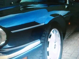 Jaguar XJS Celebration Pinstripe Stripes Coachline kit XJ-S XJC Coupe NEW KIT - Picture 1 of 6